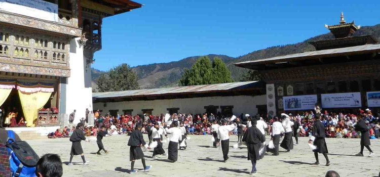Black Necked Crane Festival
