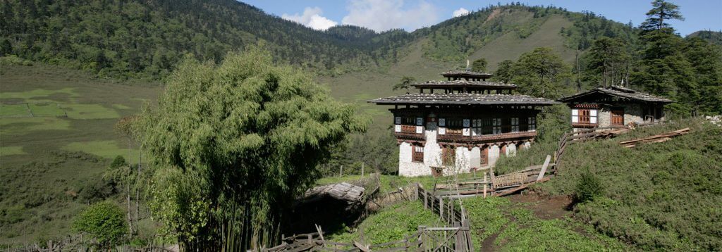 Gaselo & Nahee Village