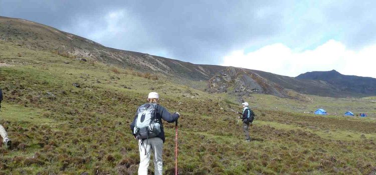 Jomolhari Laya Gasa Trek