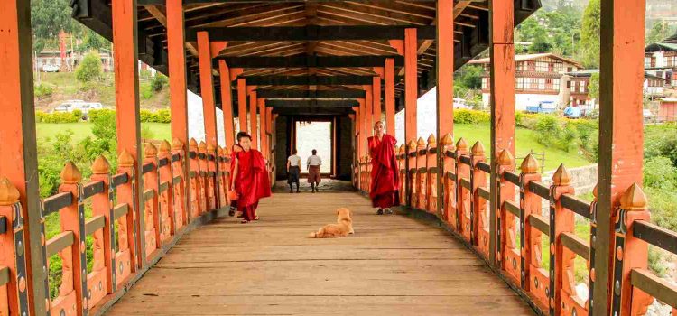 Journey Across Mountain