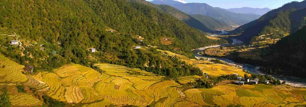 Samtengang Winter Trek