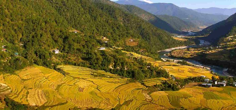 Samtengang Winter Trek