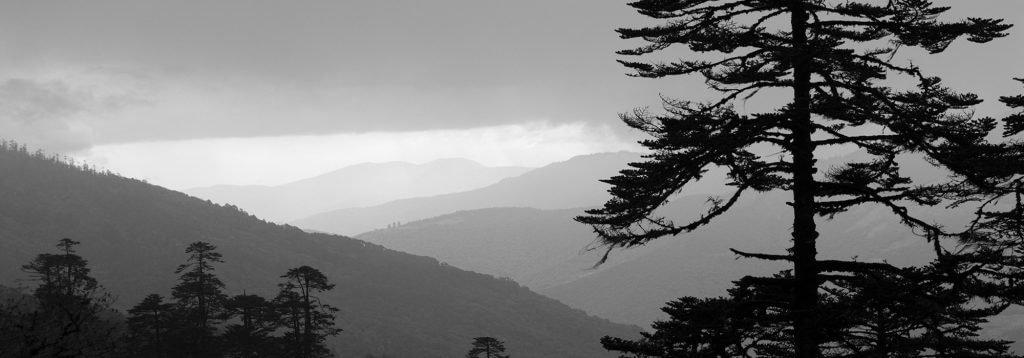 The Jungshi Paper Factory