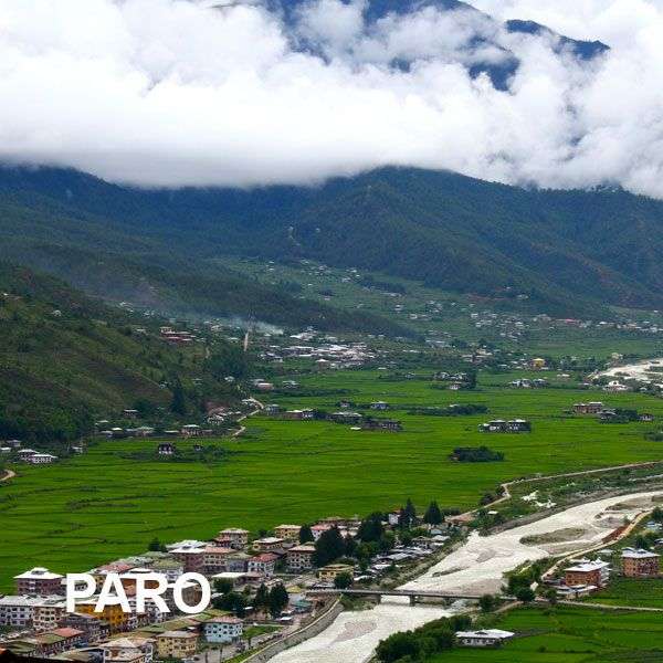 Paro